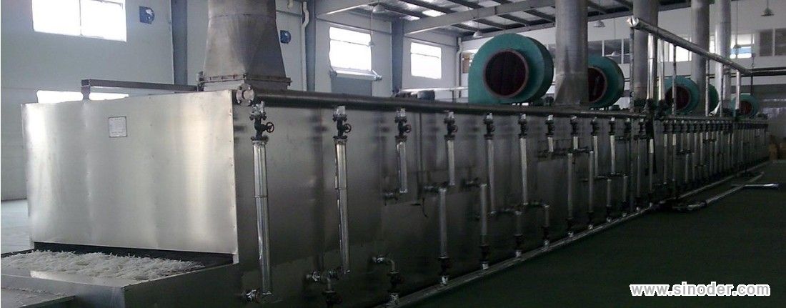 Mesh Conveyor Belt Dryer (1)