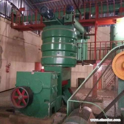 Cotton seeds oil press machine